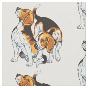 Beagle Stoff
