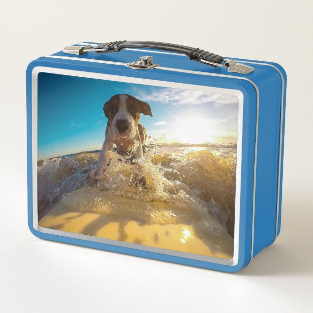Beagle surfing metall brotdose (Vorderseite)