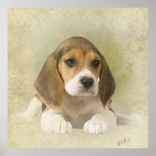 Beagle Tapestyle Imitate Canvas Print Acrylic Prin Poster