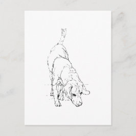 Beagle-Tasse – handgezeichneter Tinten-Hund Postkarte