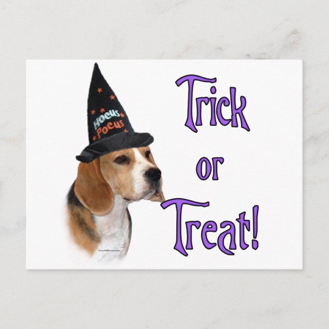 Beagle Trick Postkarte (Vorderseite)