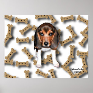 Beagle- und Hundefekten Poster