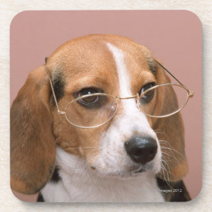 Beagle Untersetzer