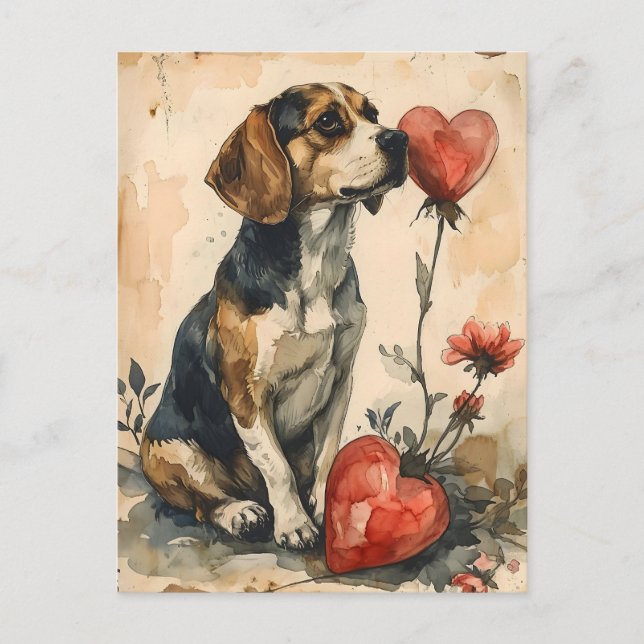Beagle Vintag Valentinstag Postkarte (Vorderseite)