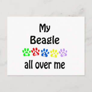 Beagle Walks Design Postkarte