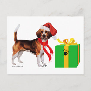 Beagle Weihnachten