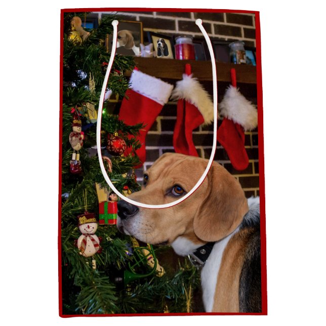 Beagle Weihnachten Mittlere Geschenktüte (Vorderseite)