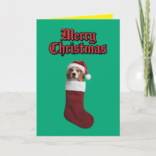 Beagle Weihnachts-Strumpf Feiertagskarte