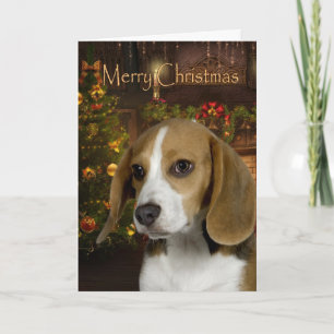 Beagle Weihnachtskarte Feiertagskarte