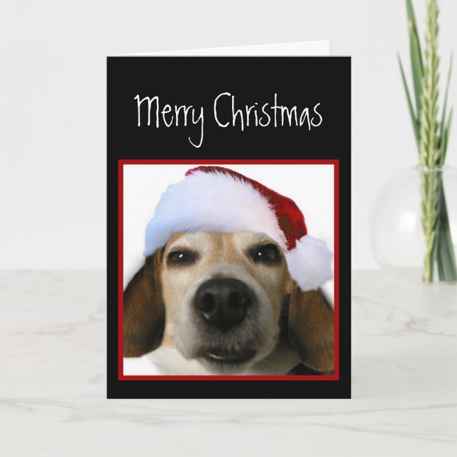 Beagle Weihnachtskarte Feiertagskarte (Vorderseite)