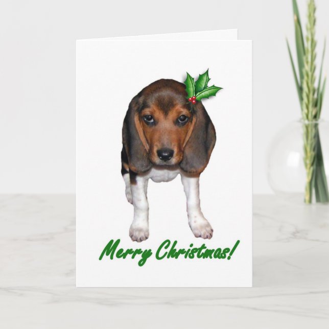 Beagle Weihnachtskarte Feiertagskarte (Vorderseite)