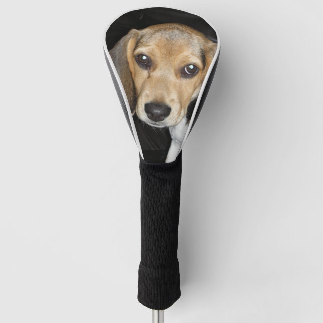 Beagle Welpe 2 Golf Headcover (Vorderseite)