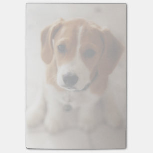 Beagle Welpe 2 Post-it Klebezettel