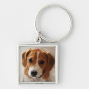 Beagle-Welpe 2 Schlüsselanhänger