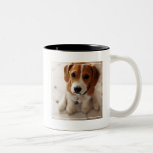 Beagle-Welpe 2 Zweifarbige Tasse