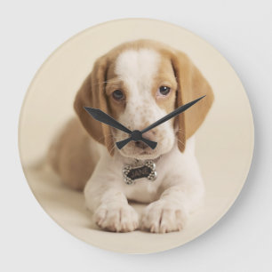 Beagle-Welpe Große Wanduhr