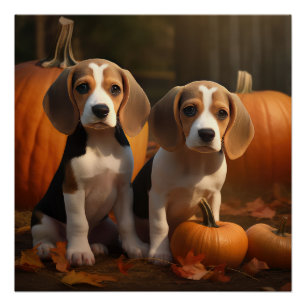 Beagle Welpe Herbst Kürbis Poster