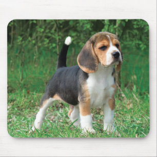 Beagle-Welpe Mousepad