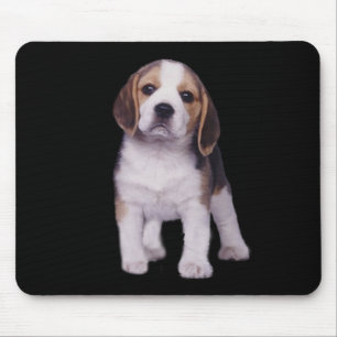 Beagle-Welpe Mousepad