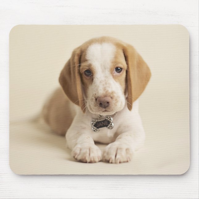 Beagle-Welpe Mousepad (Vorne)