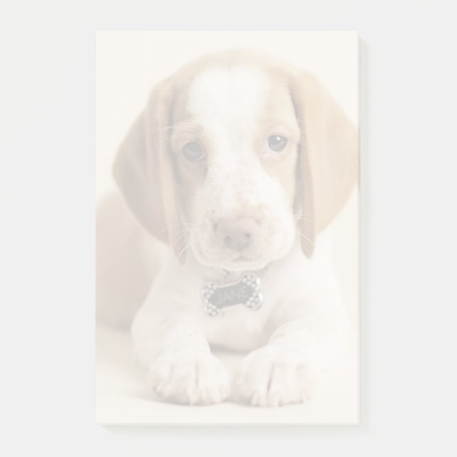 Beagle-Welpe Post-it Klebezettel (Vorderseite)