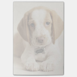 Beagle-Welpe Post-it Klebezettel