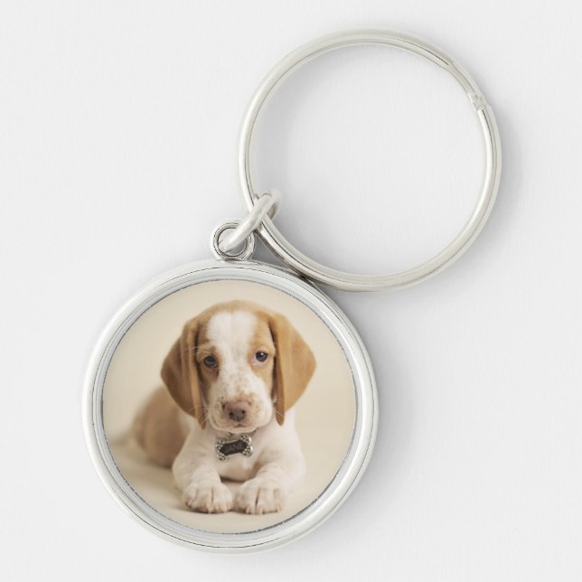 Beagle-Welpe Schlüsselanhänger (Vorne)
