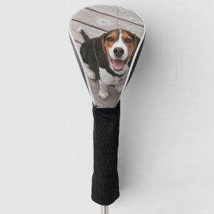 Beagle-Welpe-Sitzen Golf Headcover
