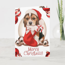 Beagle Welpe Weihnachten