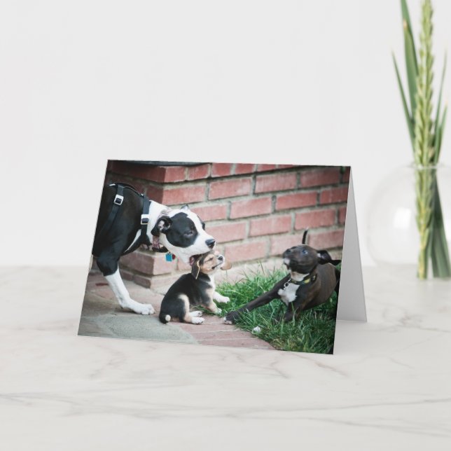 Beagle Welpen Geschmack Yummy Karte (Vorderseite)