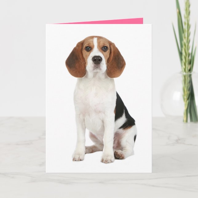 Beagle Welpen Hund Hallo Denken Sie an Ihre Karte (Vorderseite)