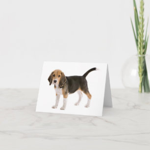 Beagle-Welpen-Hund-Leer-Notizkarte Karte