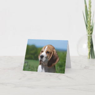 Beagle-Welpen-Hund-Leer-Notizkarte Karte