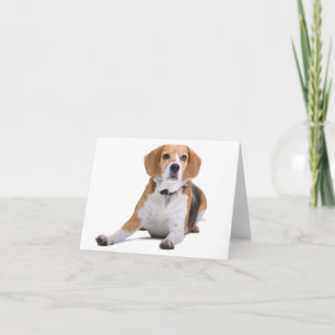 Beagle-Welpen-Hund leere Karte