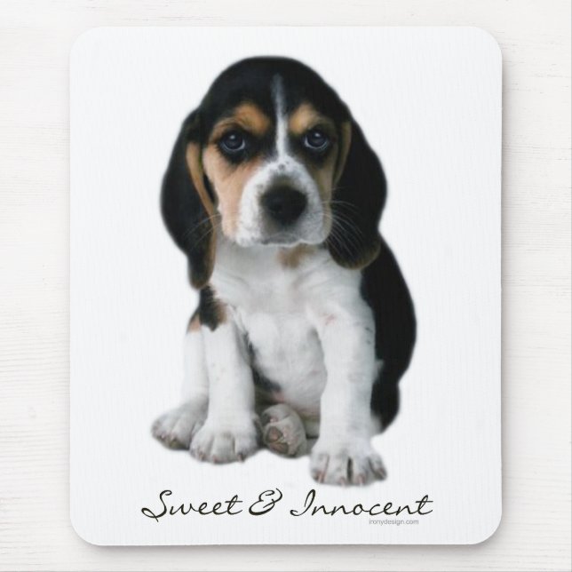 Beagle-Welpen-Hund Mousepad (Vorne)