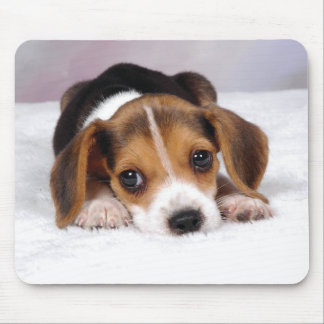 Beagle-Welpen-Hund Mousepad