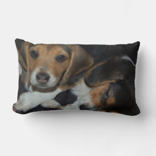 Beagle-Welpen-Kissen Lendenkissen