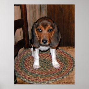 Beagle-Welpen-Plakat Poster
