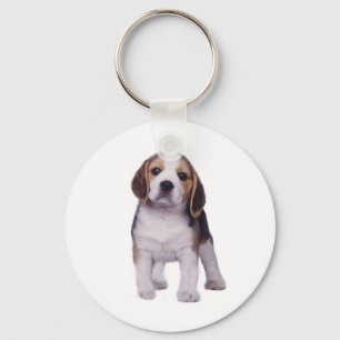 Beagle-Welpen-Schlüsselanhänger Schlüsselanhänger