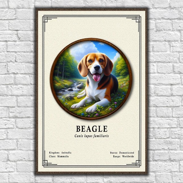 Beagle-Zoologie-Serie Poster (Von Creator hochgeladen)
