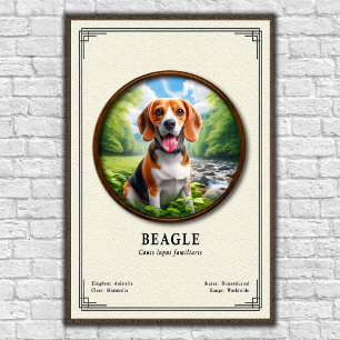 Beagle-Zoologie-Serie Poster