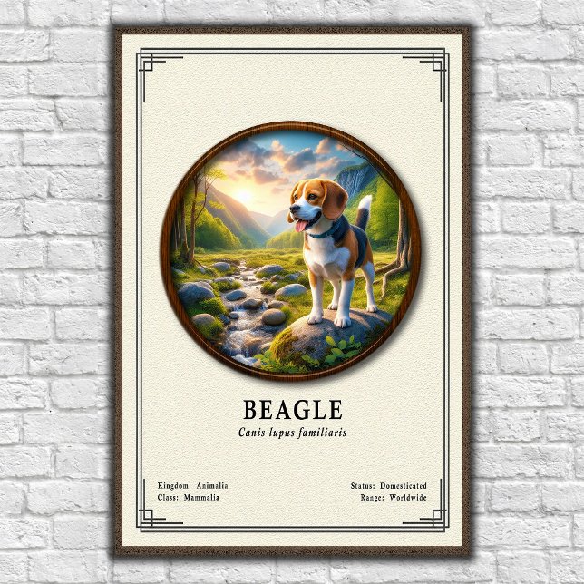 Beagle Zoologie Serie Poster (Von Creator hochgeladen)