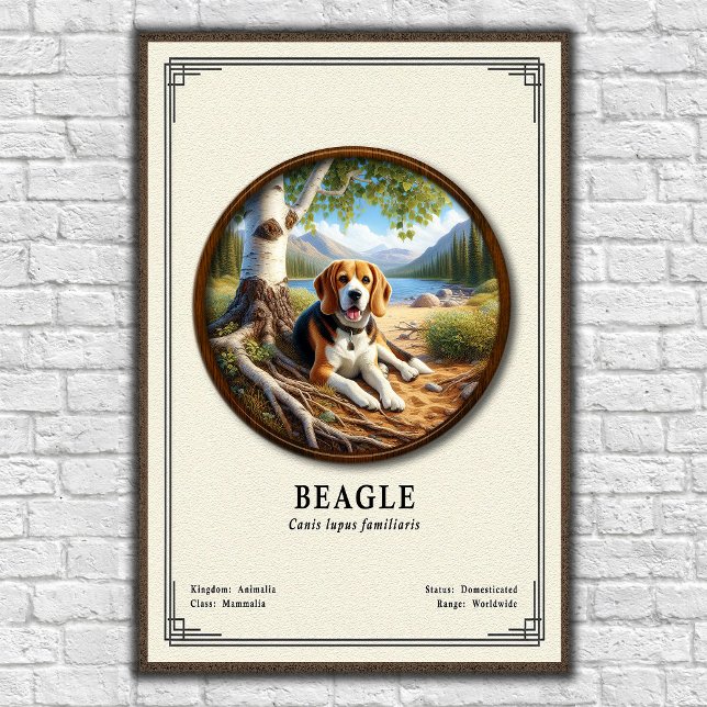 Beagle Zoology Series Poster (Von Creator hochgeladen)