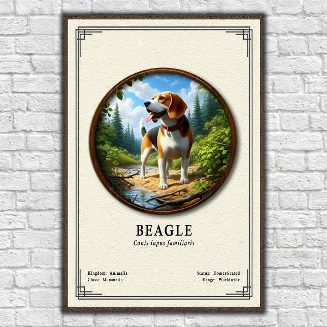 Beagle Zoology Series Poster (Von Creator hochgeladen)