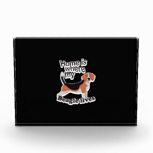 Beagle Zuhause Fotoblock