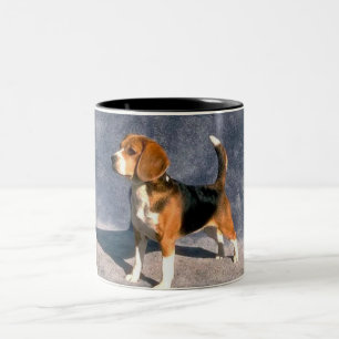 Beagle Zweifarbige Tasse