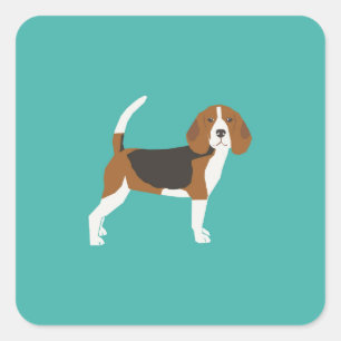 Beagleaufkleber Quadratischer Aufkleber