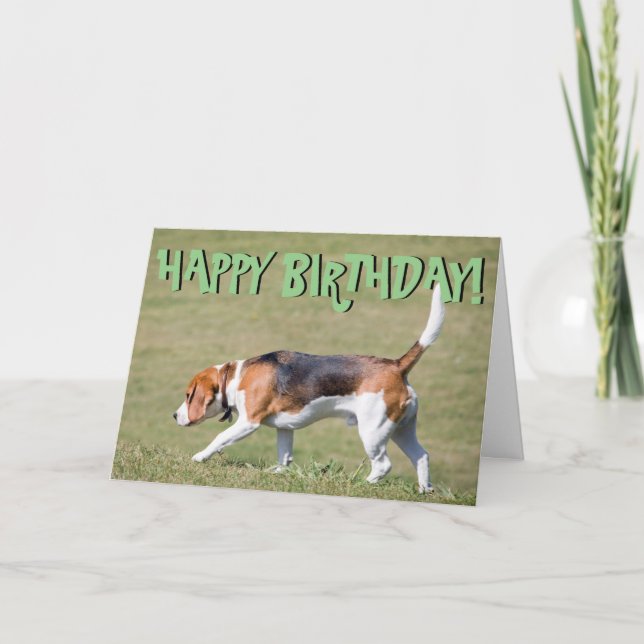 Beaglegeburtstagskarte Karte (Vorderseite)