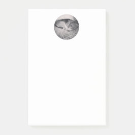 Beaglepost-itanmerkung Post-it Klebezettel