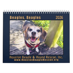 Beagles Beagles Wandkalender 2026